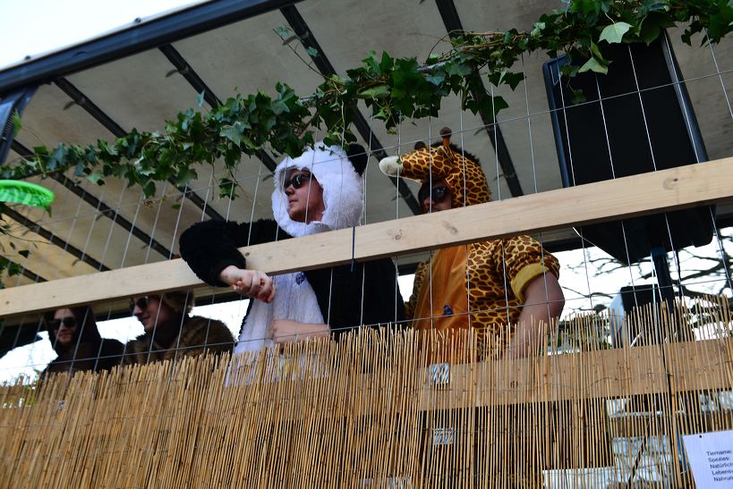  Fastnacht 2016 Mörfelden-Walldorf feiert mit einem Faschingsumzug im Stadtteil Mörfelden Helau