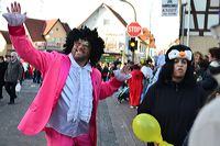  Fastnacht 2016 Mörfelden-Walldorf feiert mit einem Faschingsumzug im Stadtteil Mörfelden Helau