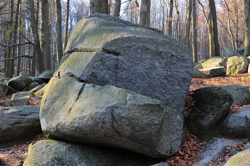 Felsenmeer Felsberg Römer Lautertal Nibelungensteig Odenwald