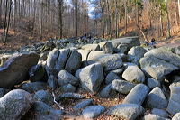 Felsenmeer Felsberg Römer Lautertal Nibelungensteig Odenwald