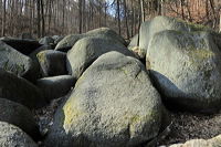 Felsenmeer Felsberg Römer Lautertal Nibelungensteig Odenwald