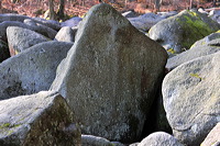 Felsenmeer Felsberg Römer Lautertal Nibelungensteig Odenwald