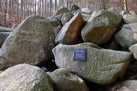 Felsenmeer Felsberg Römer Lautertal Nibelungensteig Odenwald