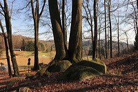 Felsenmeer Felsberg Römer Lautertal Nibelungensteig Odenwald