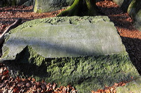 Felsenmeer Felsberg Römer Lautertal Nibelungensteig Odenwald