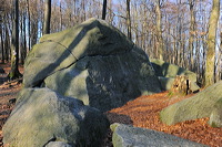 Felsenmeer Felsberg Römer Lautertal Nibelungensteig Odenwald