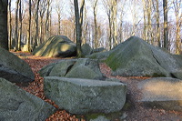 Felsenmeer Felsberg Römer Lautertal Nibelungensteig Odenwald