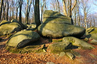 Felsenmeer Felsberg Römer Lautertal Nibelungensteig Odenwald