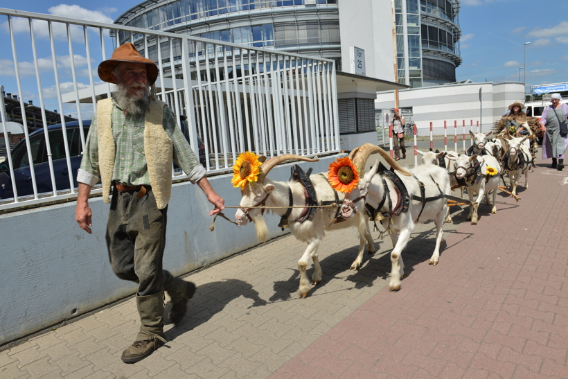 Großer Festzug 2017 beim Hessentag in Rüsselsheim