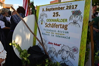 Großer Festzug 2017 beim Hessentag in Rüsselsheim