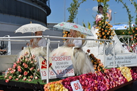 Großer Festzug 2017 beim Hessentag in Rüsselsheim