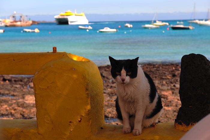 Fuerteventura 150 km Strandlandschaft Naturpark Corralejo das grösste Dünengebiet der Kanaren