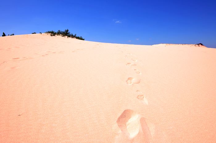 Fuerteventura 150 km Strandlandschaft Naturpark Corralejo das grösste Dünengebiet der Kanaren