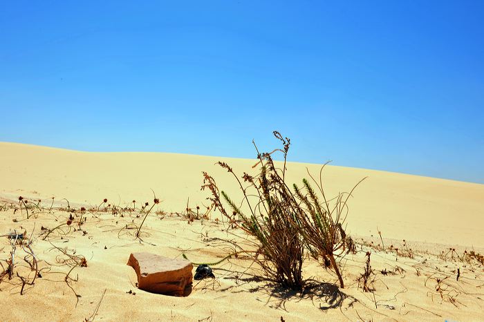 Fuerteventura 150 km Strandlandschaft Naturpark Corralejo das grösste Dünengebiet der Kanaren