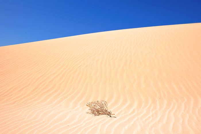 Fuerteventura 150 km Strandlandschaft Naturpark Corralejo das grösste Dünengebiet der Kanaren