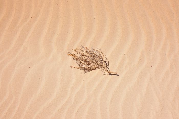 Fuerteventura 150 km Strandlandschaft Naturpark Corralejo das grösste Dünengebiet der Kanaren