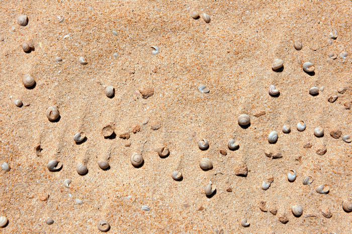 Fuerteventura 150 km Strandlandschaft Naturpark Corralejo das grösste Dünengebiet der Kanaren