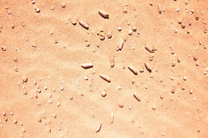 Fuerteventura 150 km Strandlandschaft Naturpark Corralejo das grösste Dünengebiet der Kanaren