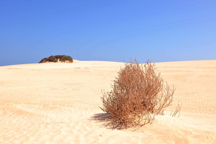 Fuerteventura 150 km Strandlandschaft Naturpark Corralejo das grösste Dünengebiet der Kanaren