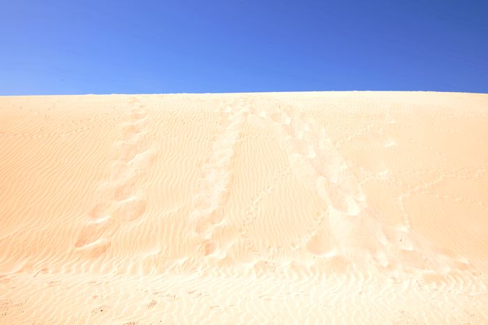 Fuerteventura 150 km Strandlandschaft Naturpark Corralejo das grösste Dünengebiet der Kanaren