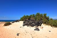 Fuerteventura 150 km Strandlandschaft Naturpark Corralejo das grösste Dünengebiet der Kanaren