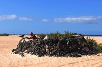 Fuerteventura 150 km Strandlandschaft Naturpark Corralejo das grösste Dünengebiet der Kanaren