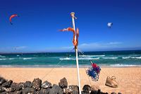 Fuerteventura 150 km Strandlandschaft Naturpark Corralejo das grösste Dünengebiet der Kanaren