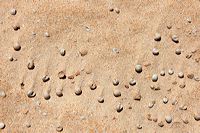 Fuerteventura 150 km Strandlandschaft Naturpark Corralejo das grösste Dünengebiet der Kanaren