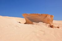 Fuerteventura 150 km Strandlandschaft Naturpark Corralejo das grösste Dünengebiet der Kanaren