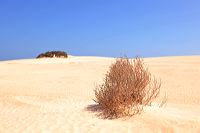 Fuerteventura 150 km Strandlandschaft Naturpark Corralejo das grösste Dünengebiet der Kanaren