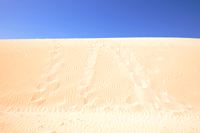 Fuerteventura 150 km Strandlandschaft Naturpark Corralejo das grösste Dünengebiet der Kanaren