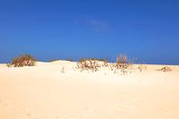 Fuerteventura 150 km Strandlandschaft Naturpark Corralejo das grösste Dünengebiet der Kanaren