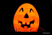 It's Halloween Time. Das Brauchtum Halloween ist ein altes keltisches und heidnisches Totenfest