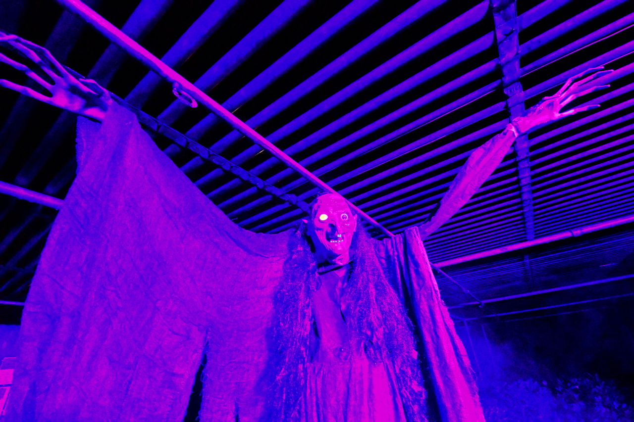Halloween Hixacrels das Spukhaus in Mörfelden-Walldorf 2020 als Spukgarten zu Gast in der Baumschule Dietrich