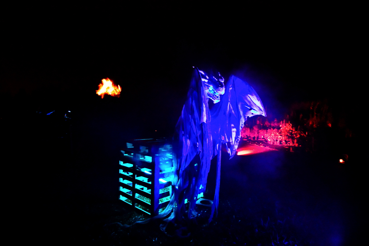 Halloween Hixacrels das Spukhaus in Mörfelden-Walldorf 2020 als Spukgarten zu Gast in der Baumschule Dietrich