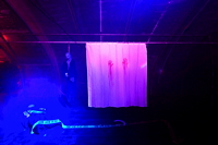 Halloween Hixacrels das Spukhaus in Mörfelden-Walldorf 2020 als Spukgarten zu Gast in der Baumschule Dietrich