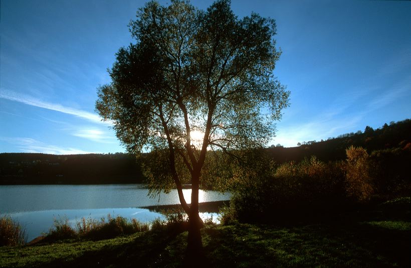 Herbst, bunte Jahreszeit mit Herbstlaub ,Weintrauben, Kastanien, Kürbisse, Nüssen, Eicheln, und vielen mehr!,...