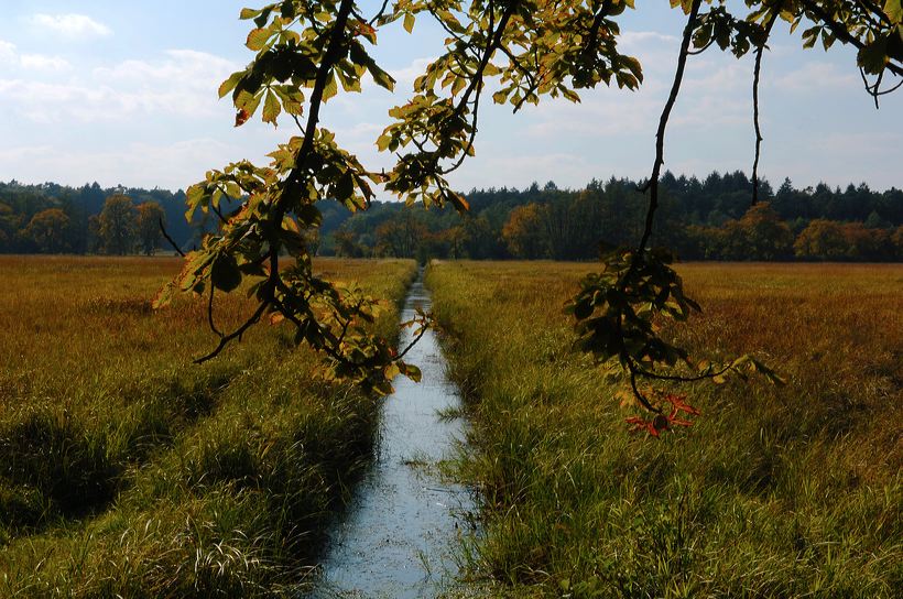 Herbst, bunte Jahreszeit mit Herbstlaub ,Weintrauben, Kastanien, Kürbisse, Nüssen, Eicheln, und vielen mehr!,...