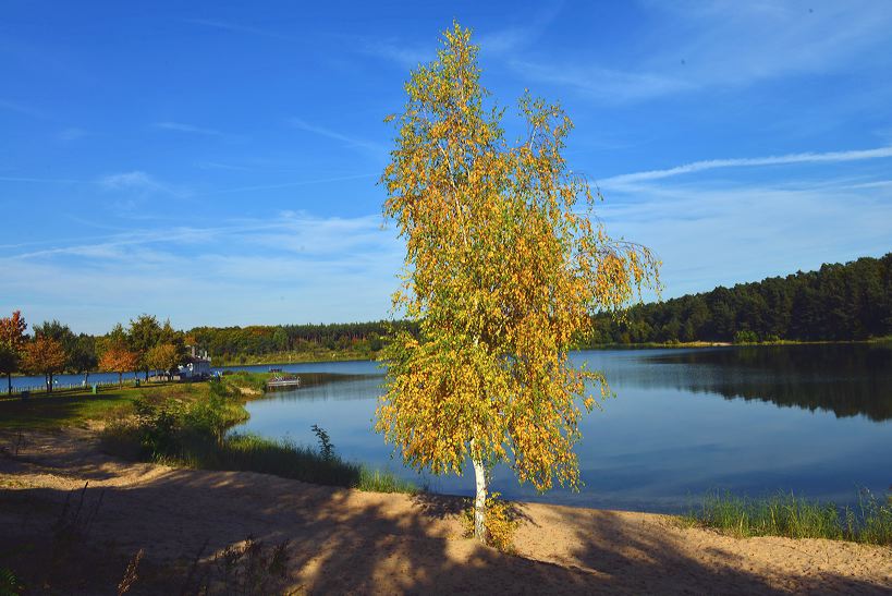 Herbst, bunte Jahreszeit mit Herbstlaub ,Weintrauben, Kastanien, Kürbisse, Nüssen, Eicheln, und vielen mehr!,...