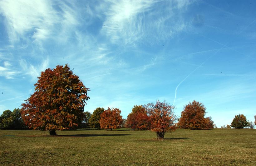 Herbst, bunte Jahreszeit mit Herbstlaub ,Weintrauben, Kastanien, Kürbisse, Nüssen, Eicheln, und vielen mehr!,...