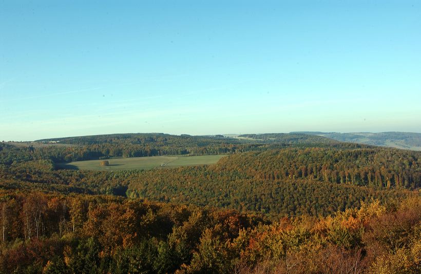 Herbst, bunte Jahreszeit mit Herbstlaub ,Weintrauben, Kastanien, Kürbisse, Nüssen, Eicheln, und vielen mehr!,...