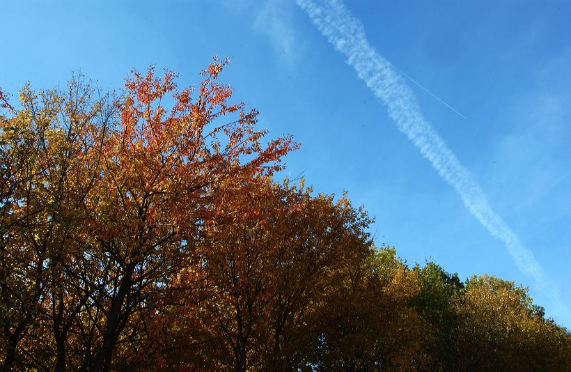 Herbst, bunte Jahreszeit mit Herbstlaub ,Weintrauben, Kastanien, Kürbisse, Nüssen, Eicheln, und vielen mehr!,...