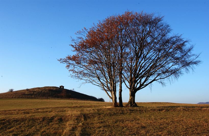 Herbst, bunte Jahreszeit mit Herbstlaub ,Weintrauben, Kastanien, Kürbisse, Nüssen, Eicheln, und vielen mehr!,...