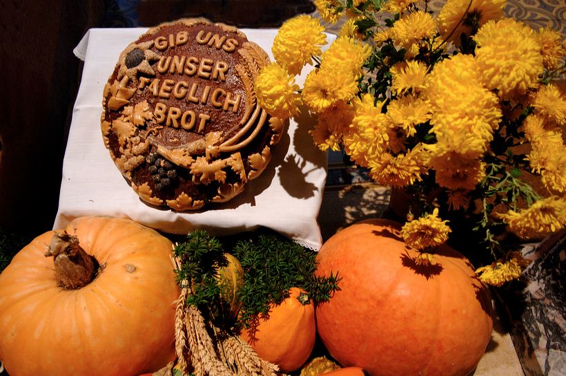 Herbst, bunte Jahreszeit mit Herbstlaub ,Weintrauben, Kastanien, Kürbisse, Nüssen, Eicheln, und vielen mehr!,...