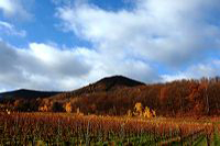 Herbst, bunte Jahreszeit mit Herbstlaub ,Weintrauben, Kastanien, Kürbisse, Nüssen, Eicheln, und vielen mehr!,...