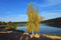 Herbst, bunte Jahreszeit mit Herbstlaub ,Weintrauben, Kastanien, Kürbisse, Nüssen, Eicheln, und vielen mehr!,...