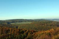 Herbst, bunte Jahreszeit mit Herbstlaub ,Weintrauben, Kastanien, Kürbisse, Nüssen, Eicheln, und vielen mehr!,...
