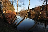 Herbst, bunte Jahreszeit mit Herbstlaub ,Weintrauben, Kastanien, Kürbisse, Nüssen, Eicheln, und vielen mehr!,...