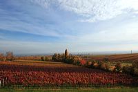 Herbst, bunte Jahreszeit mit Herbstlaub ,Weintrauben, Kastanien, Kürbisse, Nüssen, Eicheln, und vielen mehr!,...