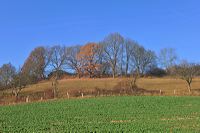 Herbst, bunte Jahreszeit mit Herbstlaub ,Weintrauben, Kastanien, Kürbisse, Nüssen, Eicheln, und vielen mehr!,...